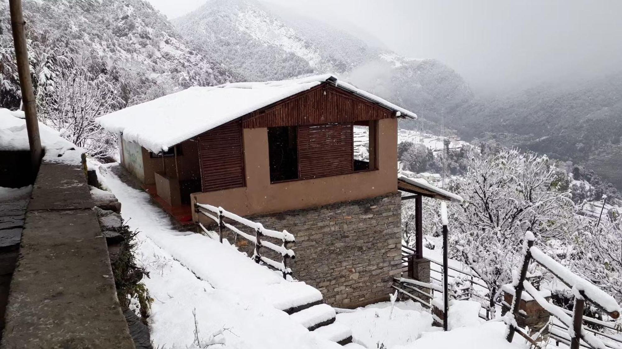 Cafe Buransh Villa Sari Екстериор снимка